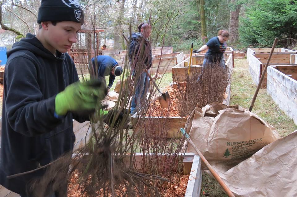 Some youth volunteers planting stuff in a bunch of planter boxes.